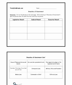3rd Grade social Studies Worksheet Inspirational 3rd Grade Branches Of Government Worksheet
