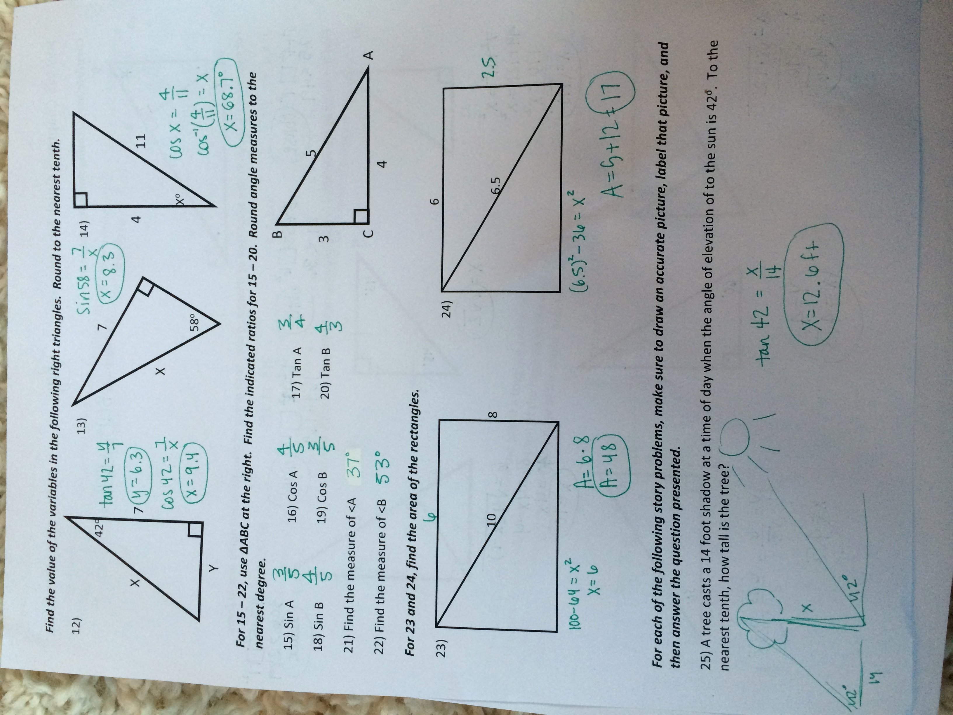 50 5 8 Special Right Triangles Worksheet