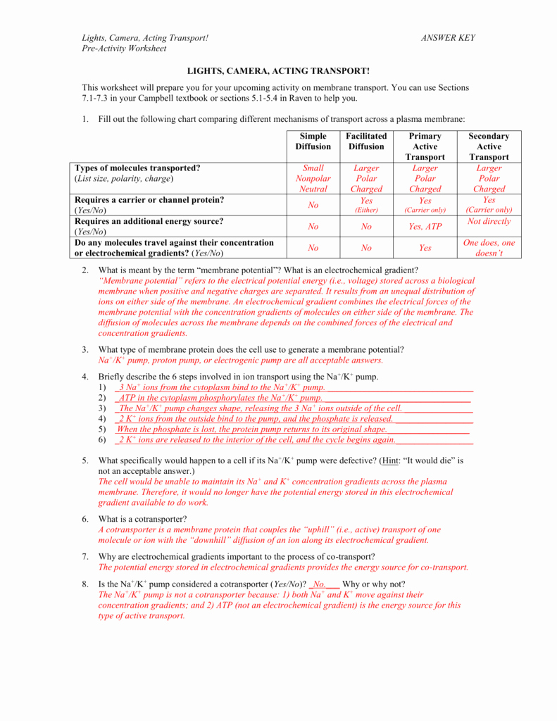 7.3 Cell Transport Worksheet Answers Inspirational Supplemental File S4 Acting Transport Pre