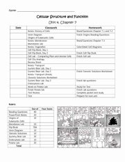 7.3 Cell Transport Worksheet Answers Lovely Cell Transport Quiz Answers Cell Transport Quiz Answers