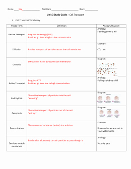 7.3 Cell Transport Worksheet Answers Lovely Diffusion and Osmosis Worksheet Answers