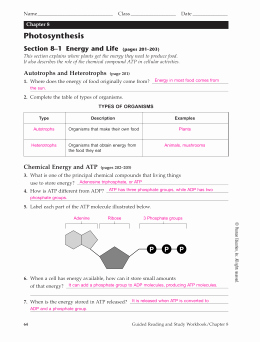 7.3 Cell Transport Worksheet Answers Lovely Studylib Essys Homework Help Flashcards Research