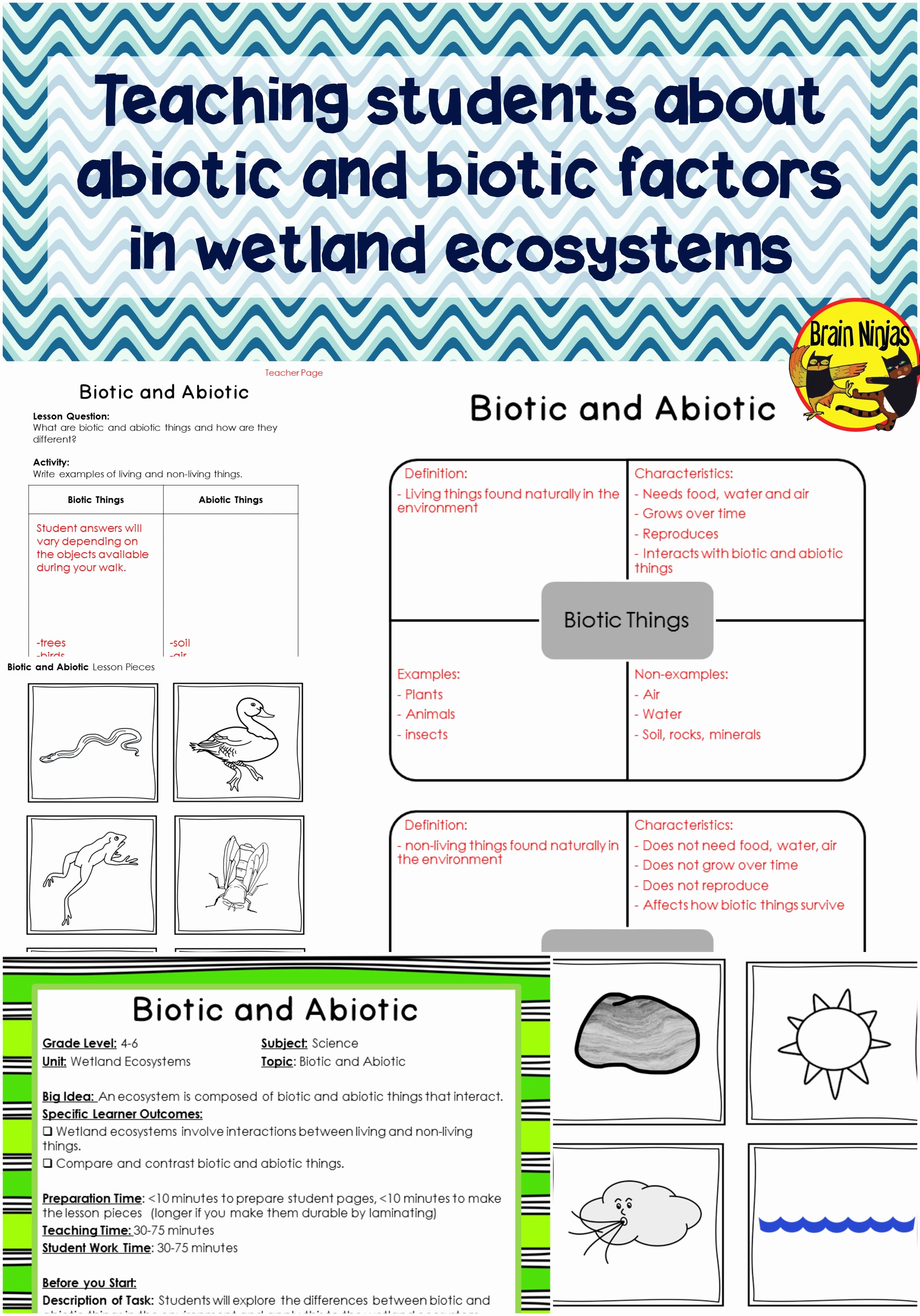 Abiotic and Biotic Factors Worksheet Best Of Abiotic and Biotic Factors Worksheets Middle School