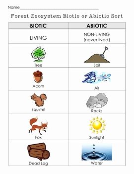 Abiotic and Biotic Factors Worksheet New Biotic or Abiotic sort Cut and Paste Living or Nonliving