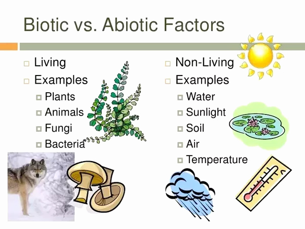 What is the difference between biotic and abiotic