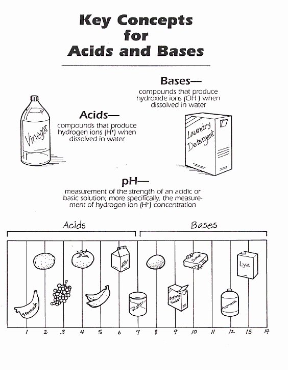 50-acid-and-base-worksheet