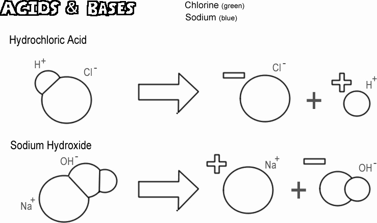 Acid and Bases Worksheet Answers Elegant Acids Bases and the Dissociation Of Water