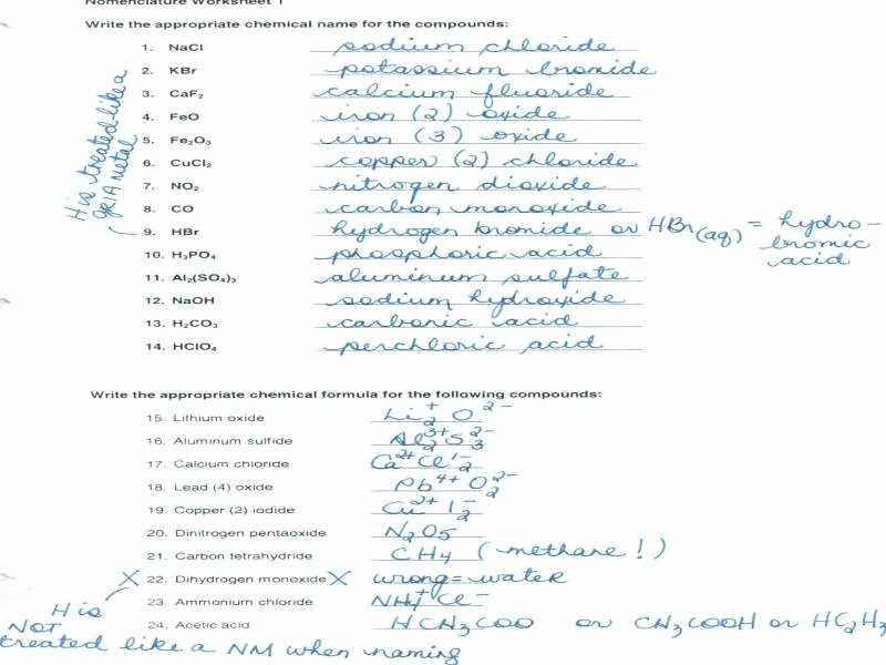 Acids and Bases Worksheet Answers Best Of Acids and Bases Worksheet Answers