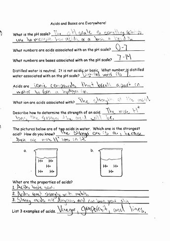 Acids and Bases Worksheet Answers Luxury Acids and Bases Worksheet Answers