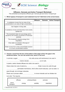 Active and Passive Transport Worksheet Awesome Diffusion Osmosis and Active Transport Worksheet