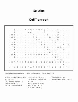 Active and Passive Transport Worksheet Elegant Passive and Active Cell Transport Worksheet Word Search