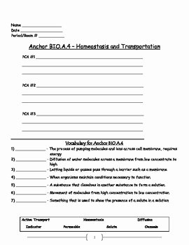 Active and Passive Transport Worksheet Fresh Cell Transport Active and Passive Transport Worksheet