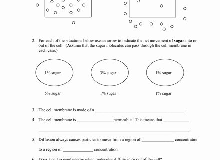 Active and Passive Transport Worksheet Fresh Uncategorized Active Transport Worksheet Klimttreeoflife