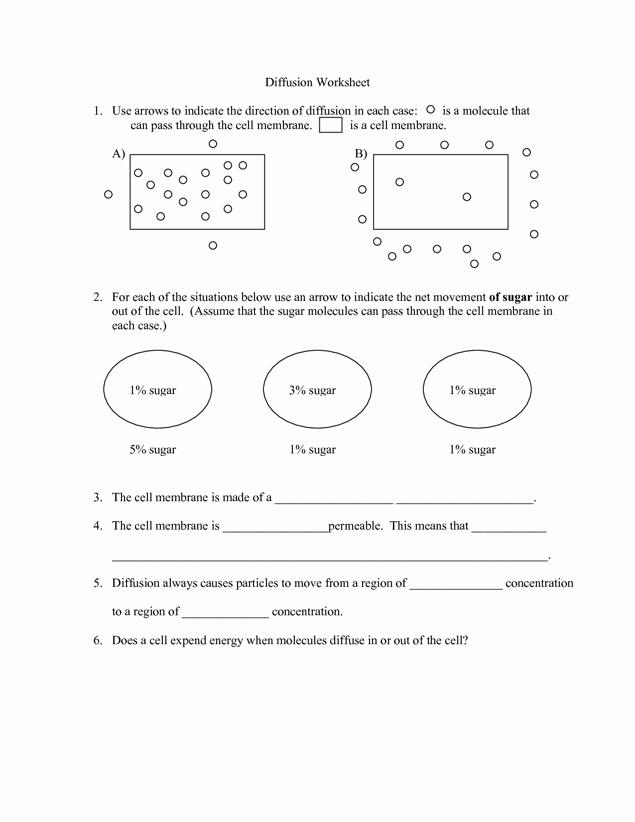 50 Active And Passive Transport Worksheet