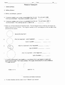 Active and Passive Transport Worksheet Inspirational Passive Transport 9th 12th Grade Worksheet