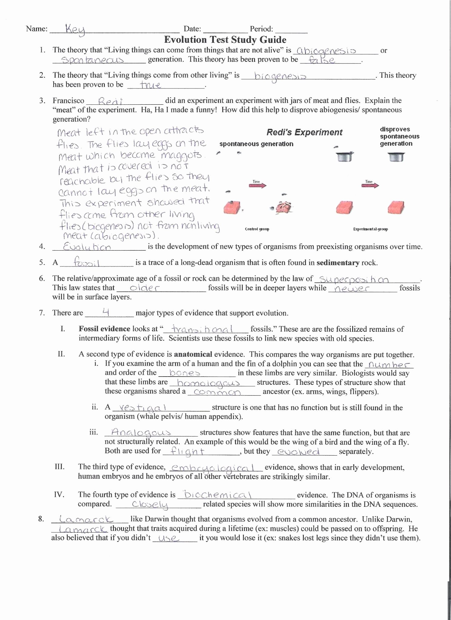 50 Active And Passive Transport Worksheet