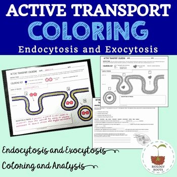 Active and Passive Transport Worksheet Unique Cell Transport Active Transport Coloring Endocytosis and