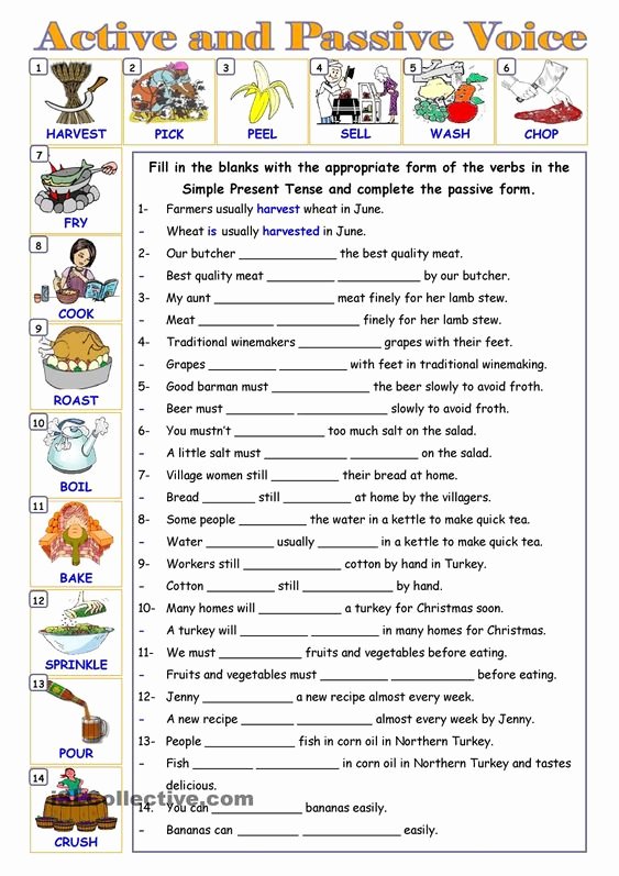 active passive voice worksheet pdf