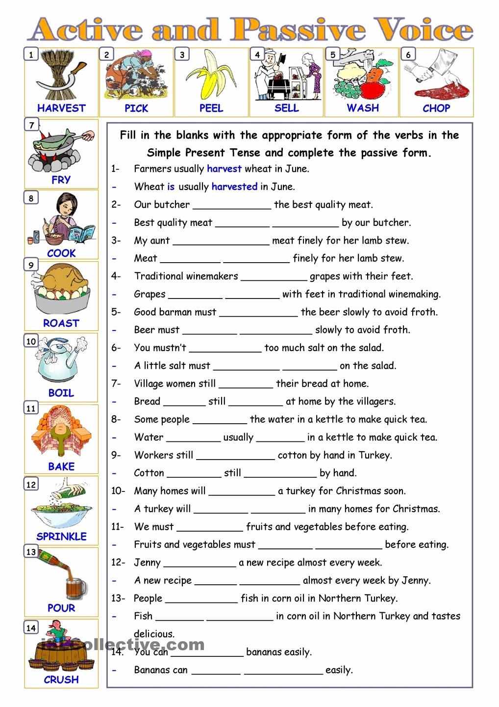 Active And Passive Voice Of The Verb Worksheet