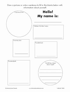 All About Me Printable Worksheet Unique 17 Best Of Getting to Know You Worksheets for