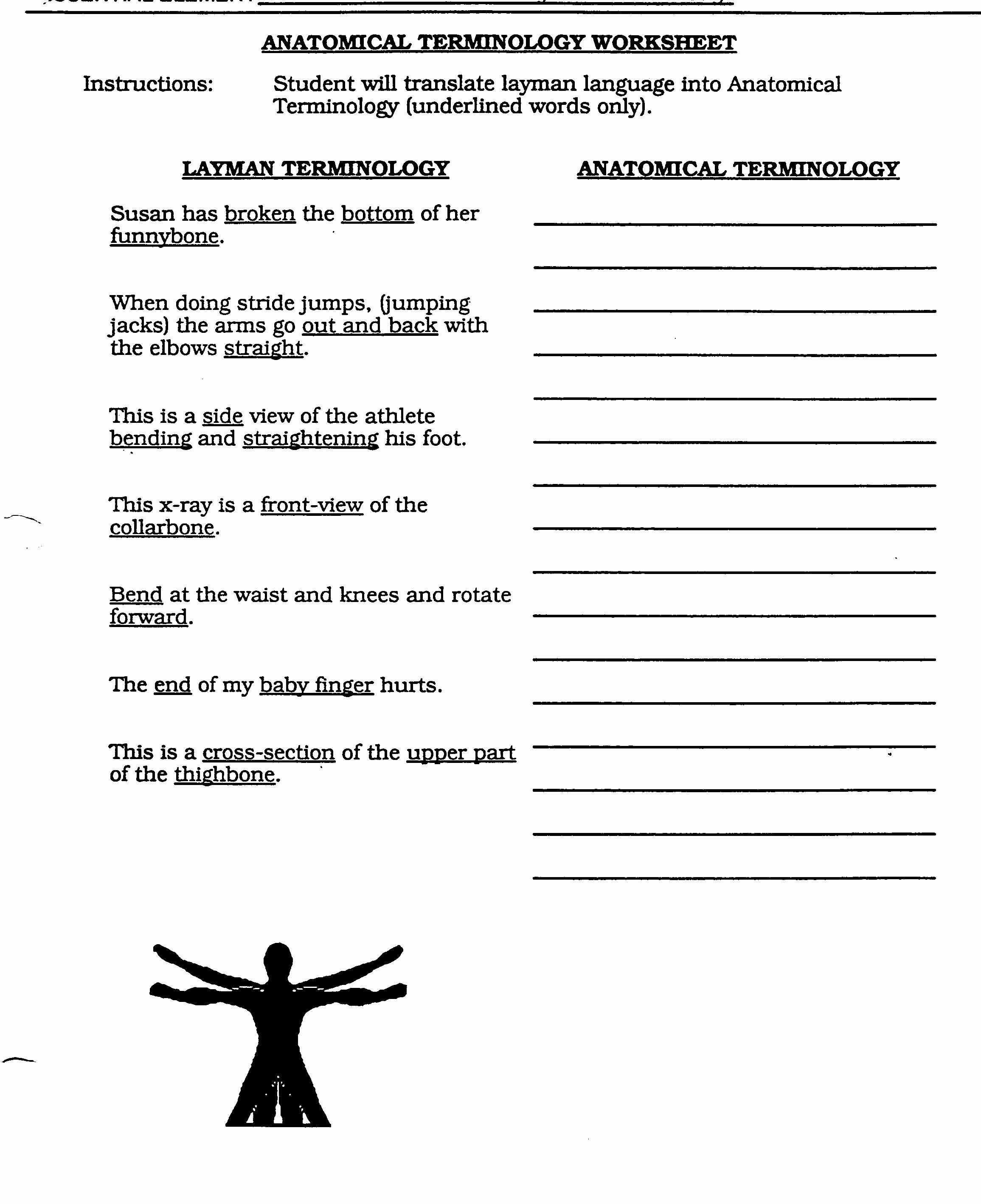 Anatomical Terms Worksheet Answers Best Of Index [mailgc On]