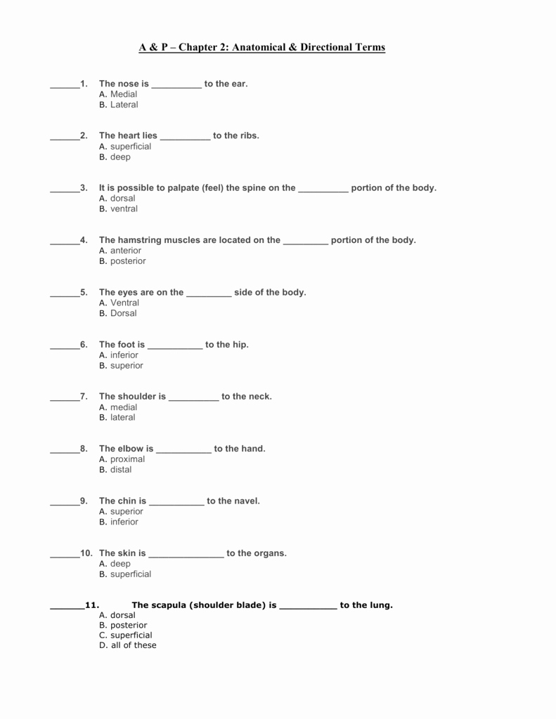 Anatomical Terms Worksheet Answers Elegant A &amp; P – Chapter 2 Anatomical &amp; Directional Terms
