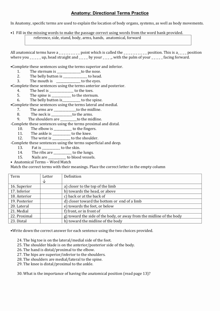 Anatomical Terms Worksheet Answers Luxury Anatomical Directional Terms Worksheet Bluegreenish