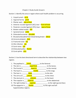 Anatomical Terms Worksheet Answers New A&amp;p – Chapter 1 – Directional Terms