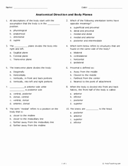 Anatomical Terms Worksheet Answers New Anatomical Direction and Body Planes Grades 11 12 Free