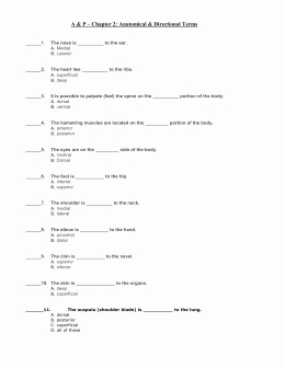 Anatomical Terms Worksheet Answers Unique Anatomical Terms Worksheet