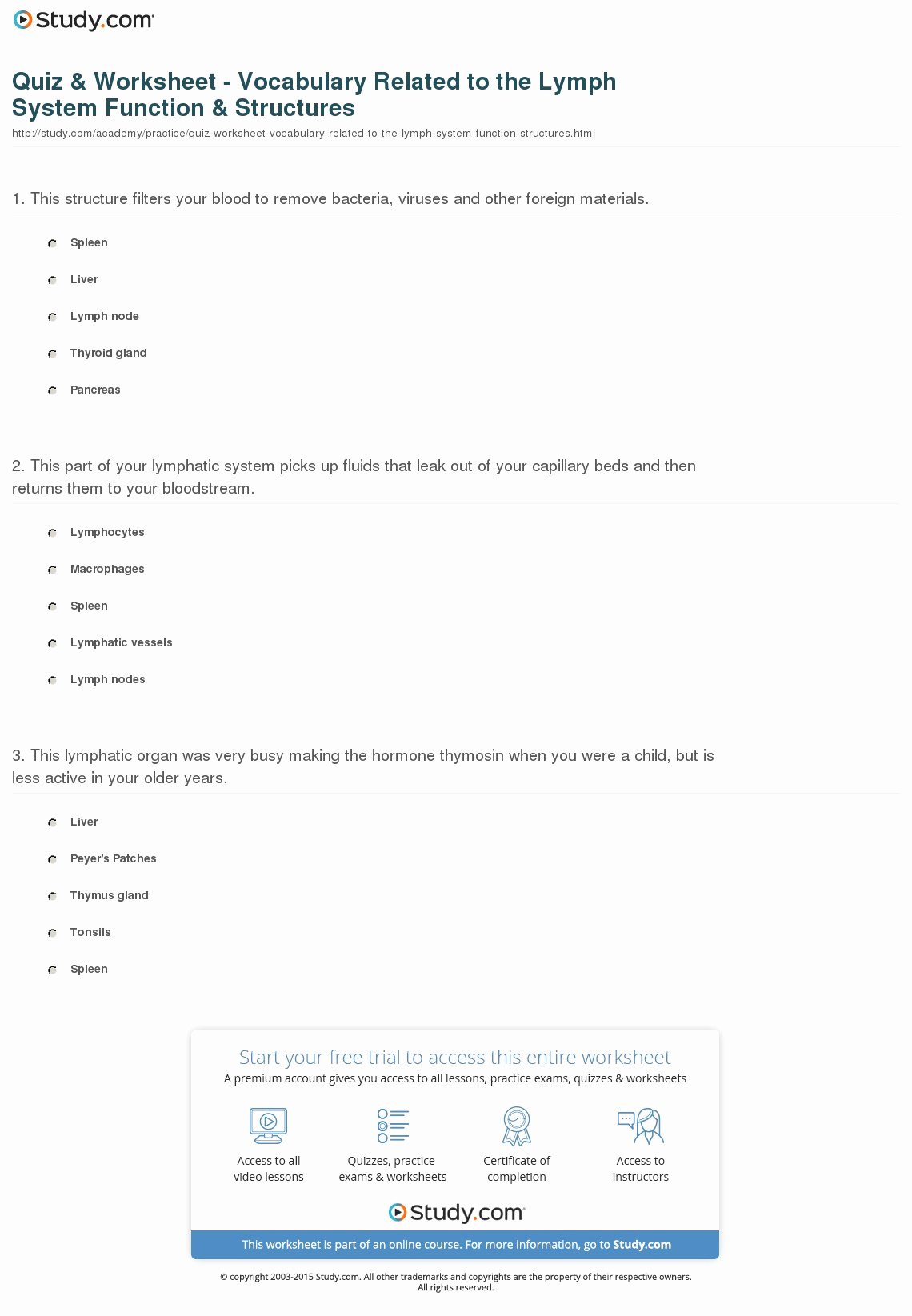 Angle Bisector theorem Worksheet Elegant Quiz &amp; Worksheet Vocabulary Related to the Lymph System