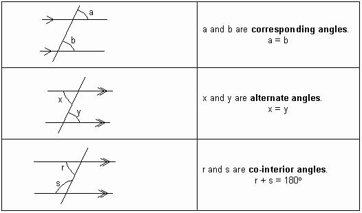 Angles and Parallel Lines Worksheet New Angles &amp; Parallel Lines Geometry Tutorial