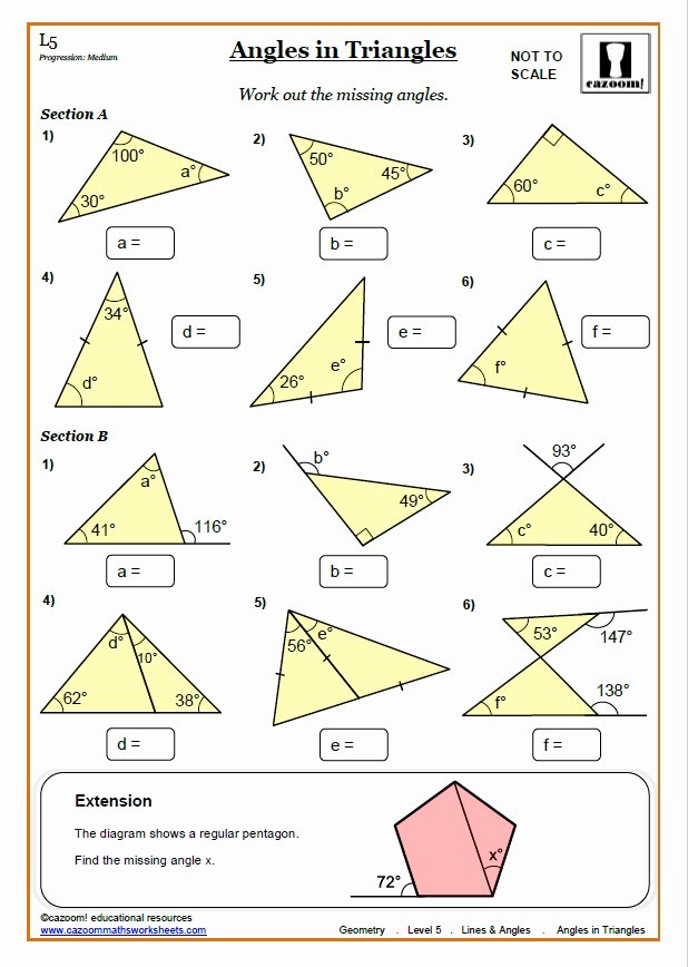 Angles In A Triangle Worksheet Beautiful Lines and Angles Worksheets