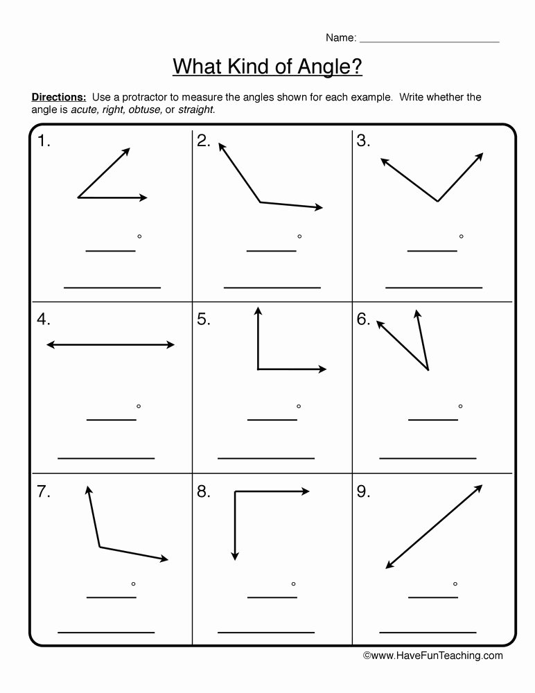 Angles Of Polygons Worksheet