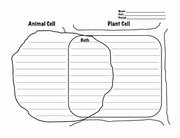 Animal and Plant Cells Worksheet Awesome Plant and Animal Cell Venn Diagram Worksheet by Geekology