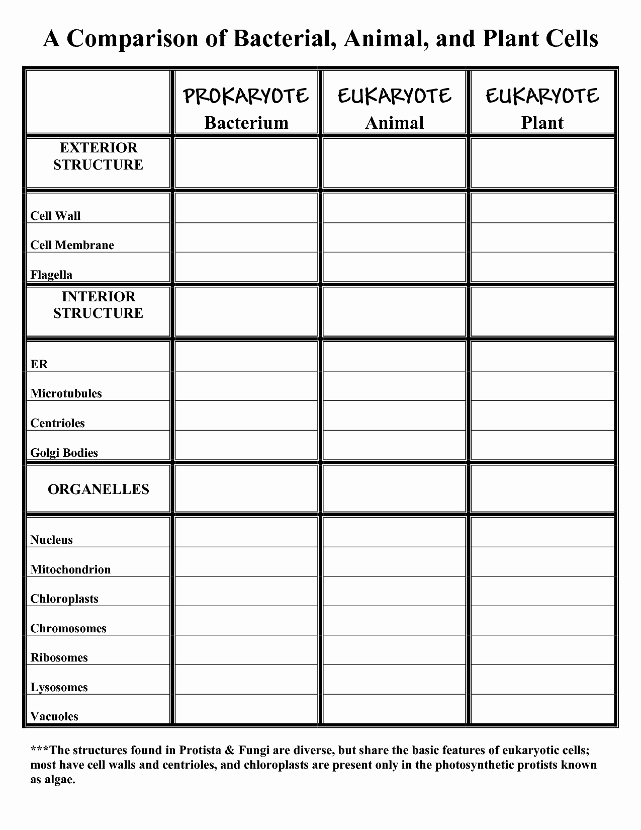 Animal and Plant Cells Worksheet Beautiful 13 Best Of Pare and Animals Worksheet