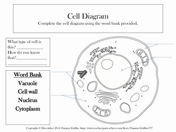 Animal and Plant Cells Worksheet Lovely Plant and Animal Cell Worksheet and Fill In the Blank by