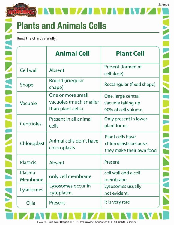 Animal and Plant Cells Worksheet Luxury Plants and Animals Cells Printable Science Worksheets