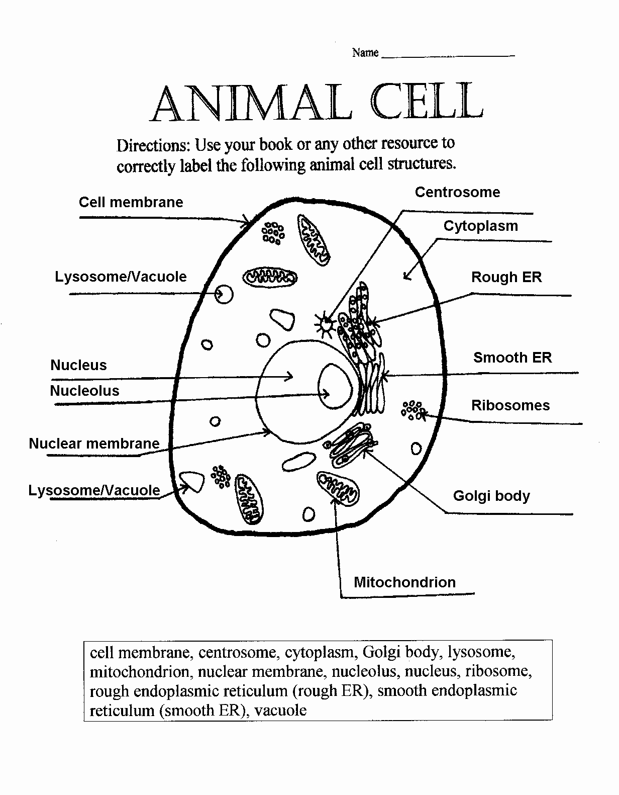 Animal and Plant Cells Worksheet New Animal Cell Answer Key Biological Science Picture