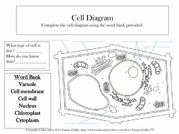 Animal and Plant Cells Worksheet Unique Plant and Animal Cell Worksheet and Fill In the Blank by