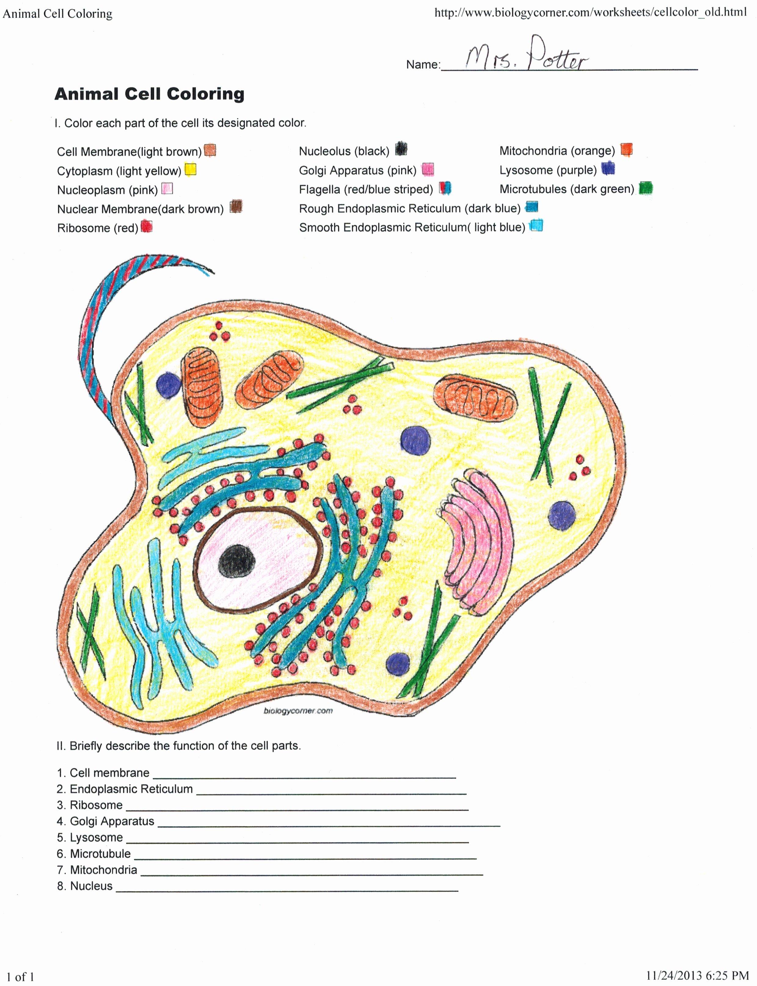 Animal Cell Coloring Worksheet Fresh Apologia Biology