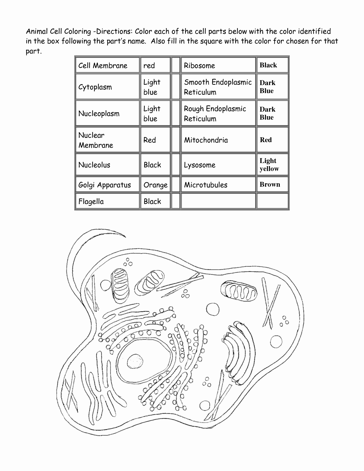 Animal Cell Coloring Worksheet Lovely Animal Cell Coloring Page Coloring Home
