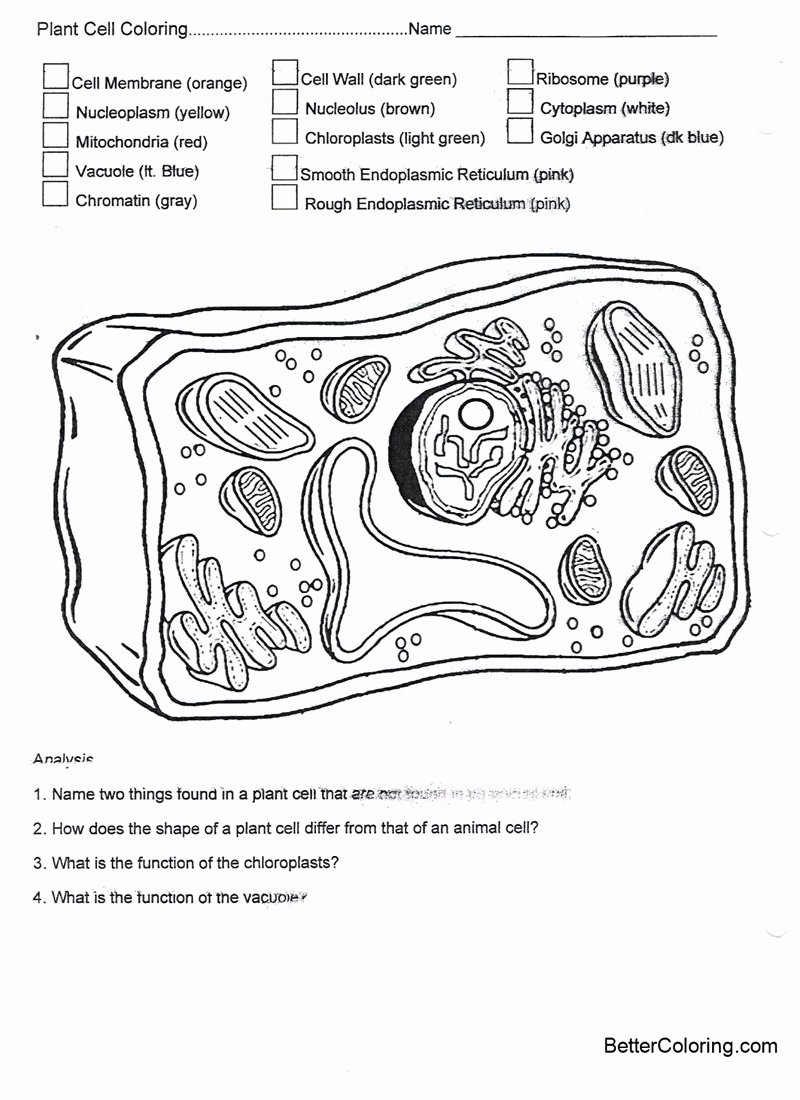 Animal Cell Coloring Worksheet Lovely Plant Cell Coloring Pages Worksheets Free Printable