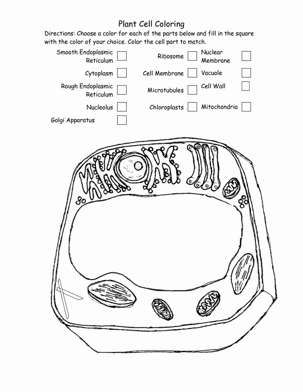 Animal Cells Coloring Worksheet Awesome Plant Cell Coloring Worksheet Answers – Coloring Pages