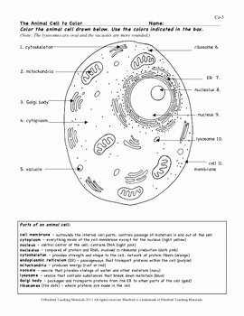 Animal Cells Coloring Worksheet Lovely Animal Cell Color Page Worksheet and Quiz Ce 3 by