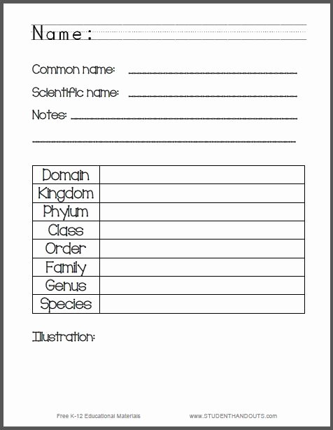 Animal Classification Worksheet Pdf Awesome 49 Best Science Images On Pinterest