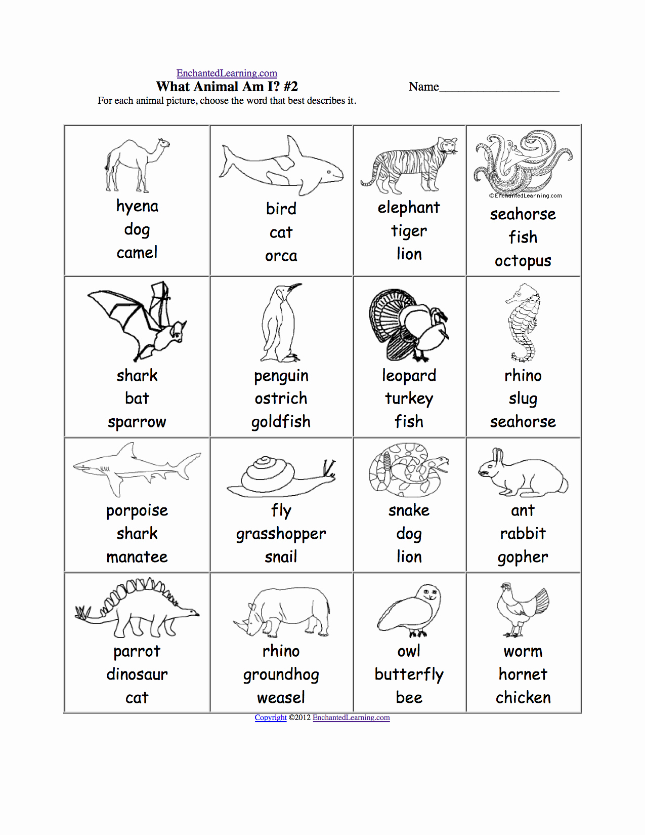 Animal Classification Worksheet Pdf Awesome What Am I Worksheet Printouts Enchantedlearning