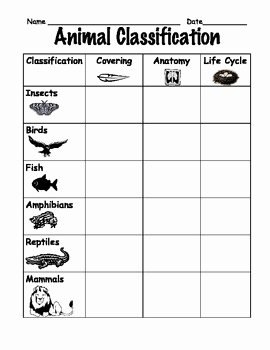 Animal Classification Worksheet Pdf Best Of Animal Classification Parison Chart for First or Second