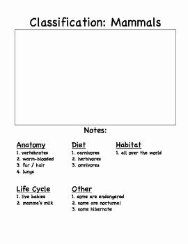 Animal Classification Worksheet Pdf Luxury First or Second Grade forms Worksheets for Notes On