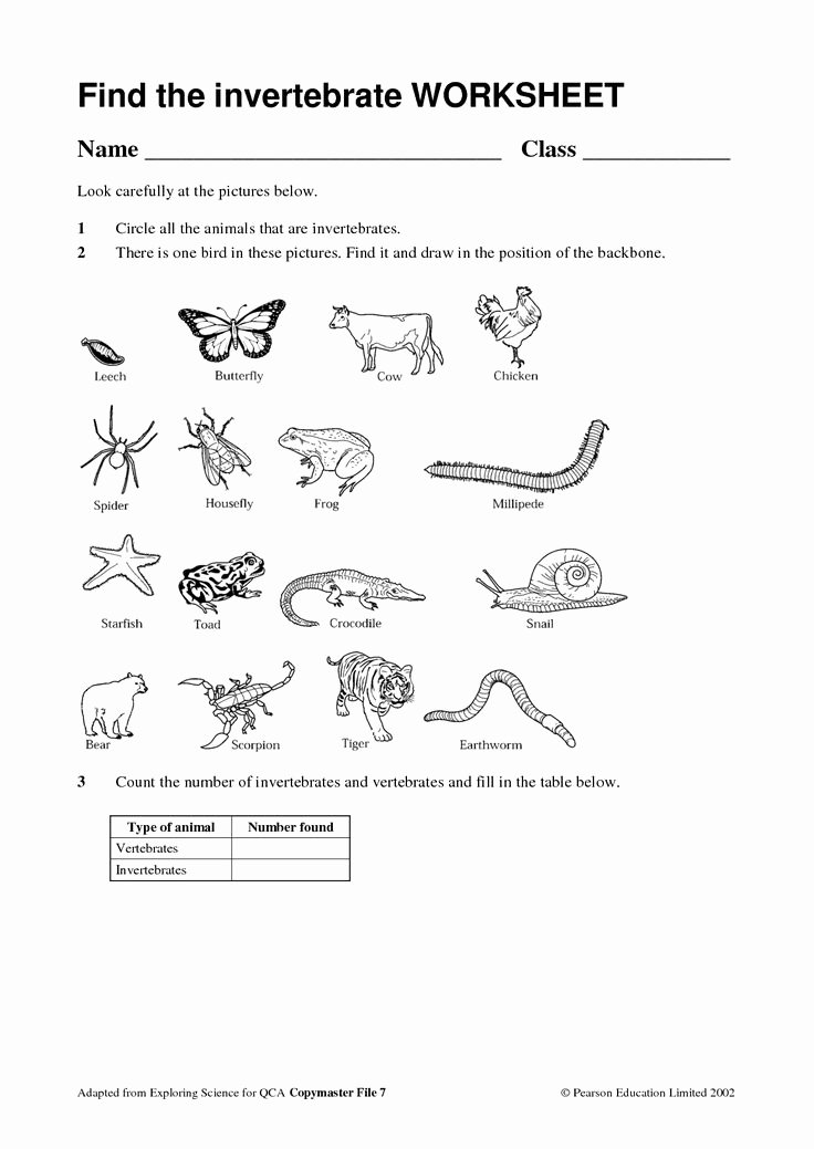 Animal Classification Worksheet Pdf New Vertebrates and Invertebrates Worksheet Art